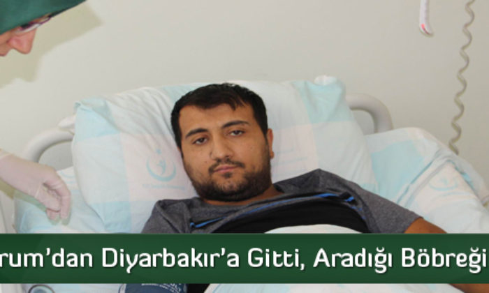 İş İçin Gitti, Aradığı Böbreği Buldu