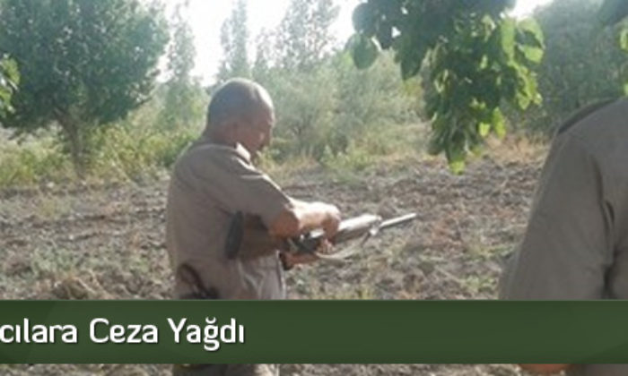 Kaçak Avcılara Ceza Yağdı