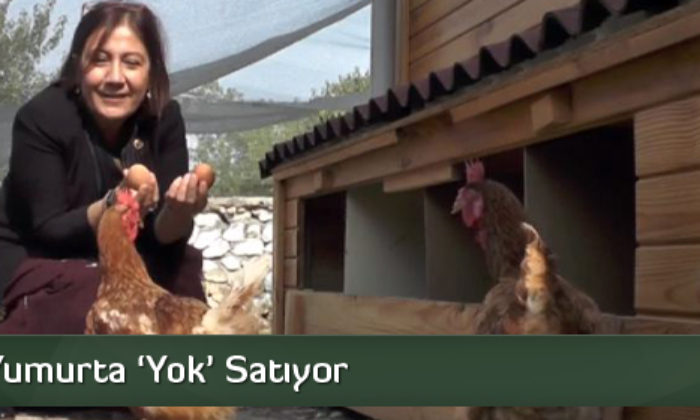 Organik Yumurta ‘Yok’ Satıyor