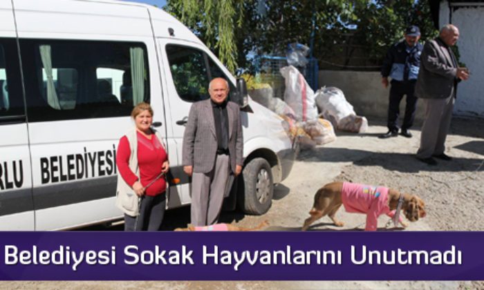 Sokak Hayvanları Unutulmadı