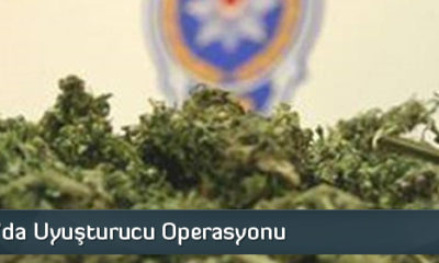 Sungurlu’da Uyuşturucu Operasyonu