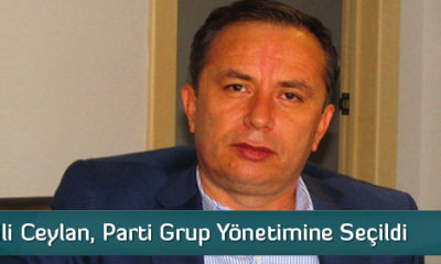 Milletvekili Ceylan, Parti Grup Yönetiminde