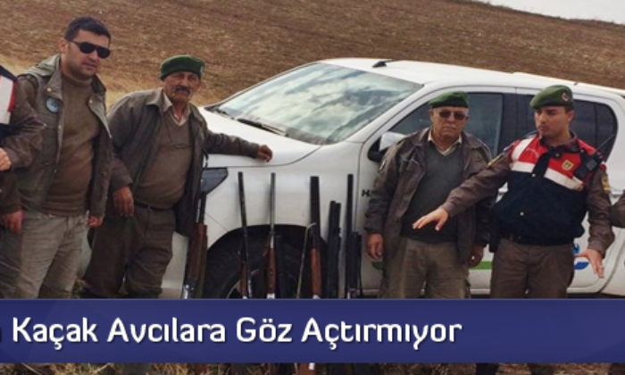 Jandarma Kaçak Avcılara Göz Açtırmıyor 