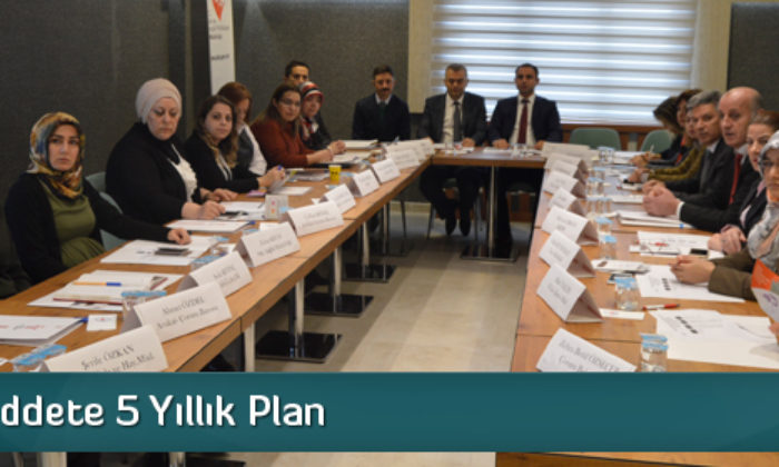 Kadına Şiddete 5 Yıllık Plan