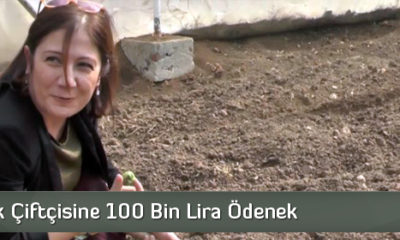 Osmancık Çiftçisine 100 Bin Lira Ödenek 