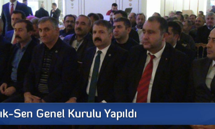 Türk Sağlık-Sen Genel Kurulu Yapıldı