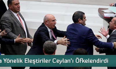Ceylan, CHP’li Milletvekilinin Üzerine Yürüdü