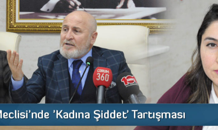 İl Genel Meclisi’nde ‘Kadına Şiddet’ Tartışması