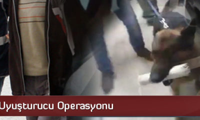 İskilip’te Uyuşturucu Operasyonu