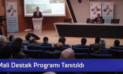 “Projeyi Getirin, Desteği Kapın”