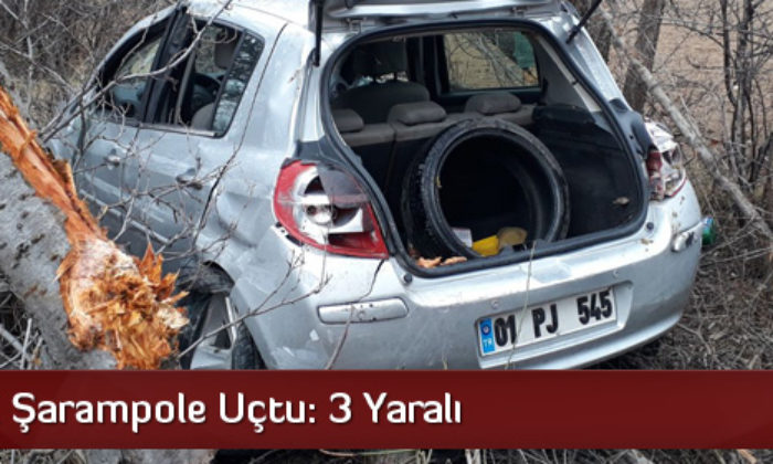 Otomobil Şarampole Uçtu: 3 Yaralı