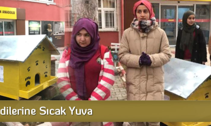 Sokak Kedilerine Sıcak Yuva
