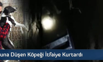 Su Kuyusuna Düşen Köpeği İtfaiye Kurtardı