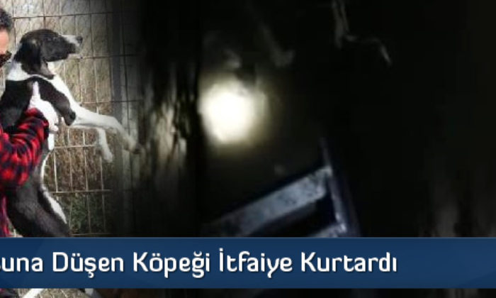 Su Kuyusuna Düşen Köpeği İtfaiye Kurtardı