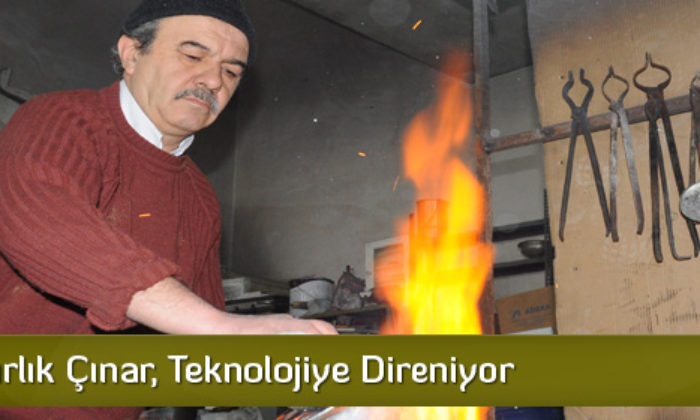 Yarım Asırlık Çınar, Teknolojiye Direniyor