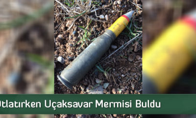 Hayvan Otlatırken Uçaksavar Mermisi Buldu