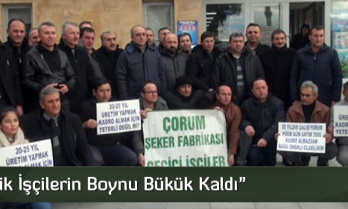 Mevsimlik İşçiler Kadro İstiyor