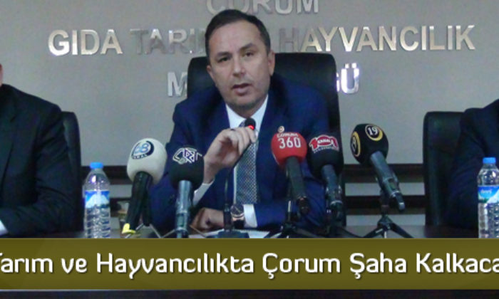 Muhtarlarla ‘Tarım ve Hayvancılık’ İstişaresi