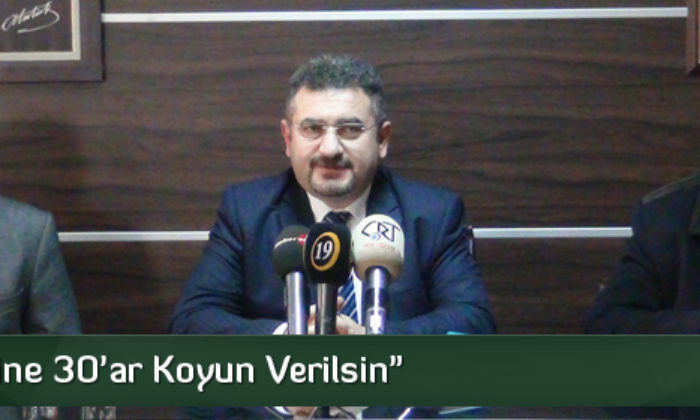 “300 Yerine 30’ar Koyun Verilsin”