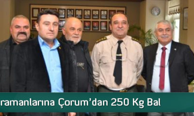 Afrin Kahramanlarına Çorum’dan 250 kg Bal