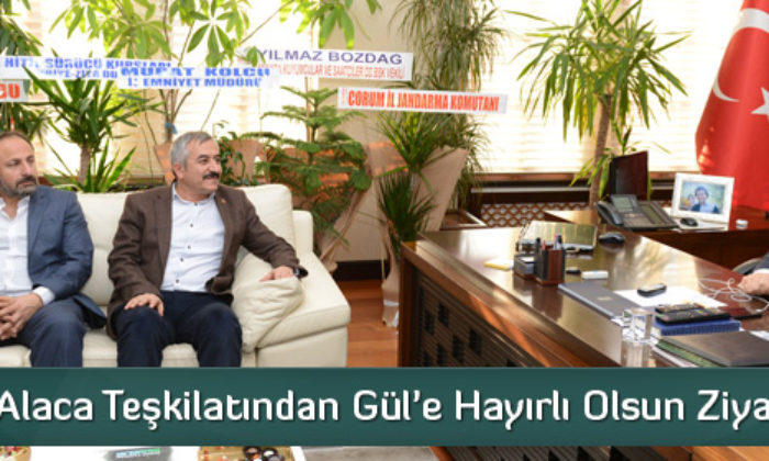 AK Parti Alaca Teşkilatından Gül’e Ziyaret