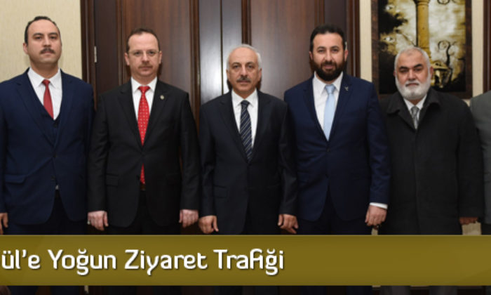 Başkan Gül’e Yoğun Ziyaret Trafiği