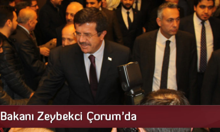 Ekonomi Bakanı Zeybekci Çorum’da