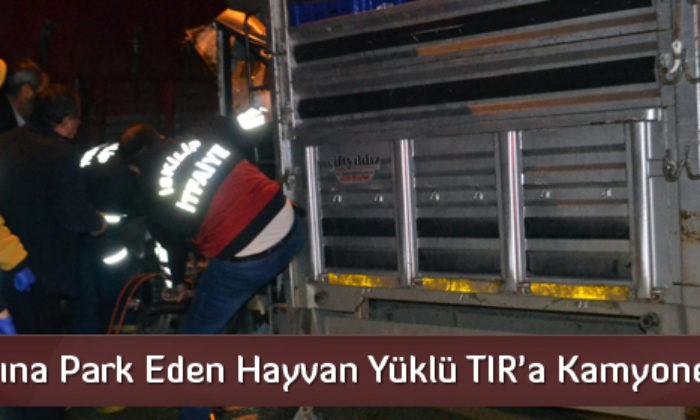 Hayvan Yüklü TIR’a Kamyonet Çarptı