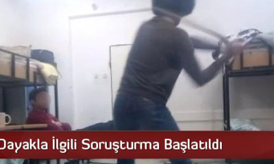 Yurttaki Dayakla İlgili Soruşturma Başlatıldı