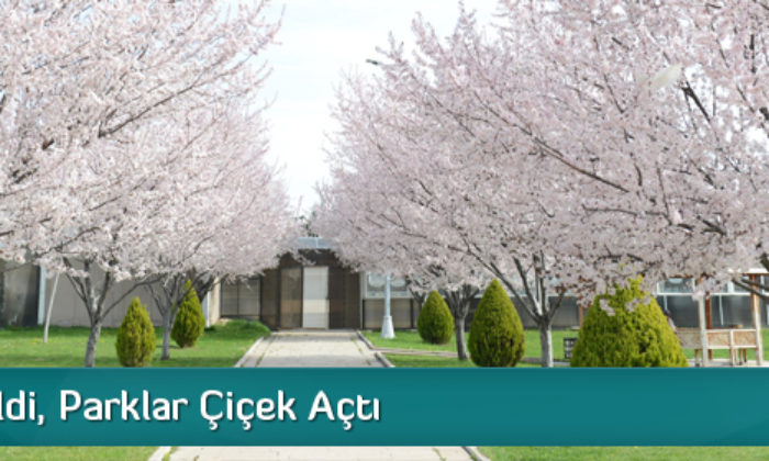 Bahar Geldi, Parklar Çiçek Açtı
