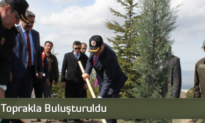 Bin Fidan Toprakla Buluşturuldu