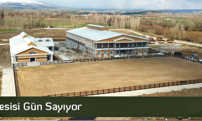 Binicilik Tesisi Gün Sayıyor