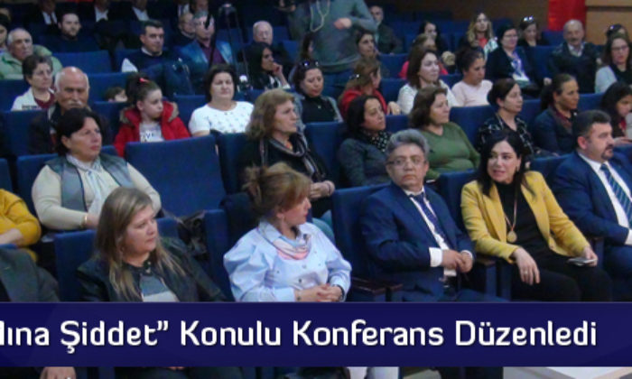 Kadın Vekil, Kadına Şiddeti Anlattı