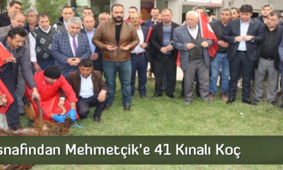 Mehmetçik İçin Kurban Kesildi