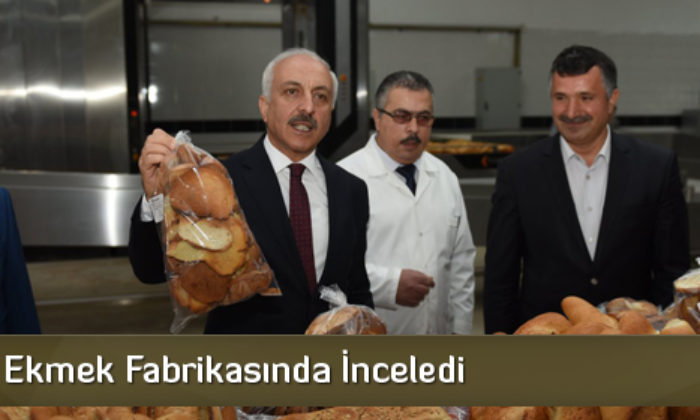 Halk Ekmek, Günde 20 Bin Ekmek Üretiyor