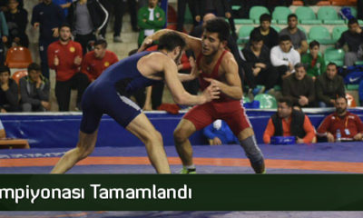 Güreş Şampiyonası Tamamlandı