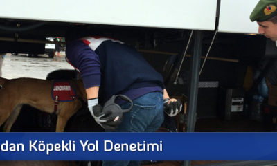 Jandarmadan Köpekli Yol Denetimi