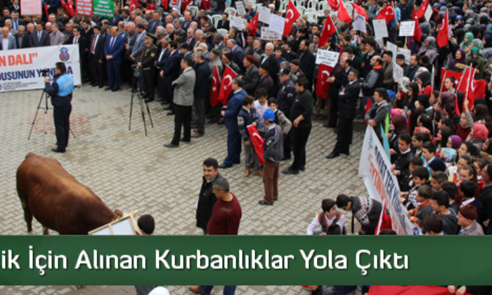 Mehmetçik İçin Alınan Kurbanlıklar Yola Çıktı