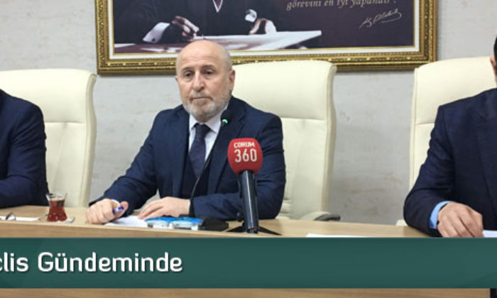 NBŞ, Meclis Gündeminde