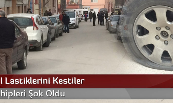Otomobil Lastiklerini Kestiler