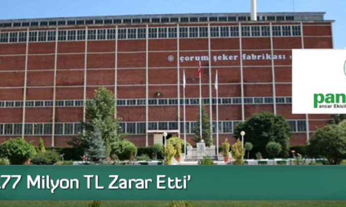 ‘Devlet, 177 Milyon TL Zarar Etti’