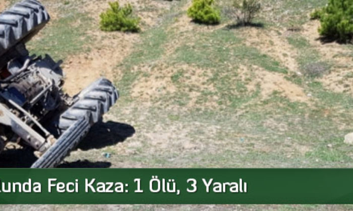 Piknik Yolunda Feci Kaza