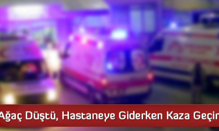 Kafasına Ağaç Düştü, Hastaneye Giderken Kaza Geçirerek Öldü