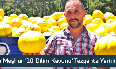 Çorum’un Meşhur ’10 Dilim Kavunu’ Tezgahta Yerini Aldı