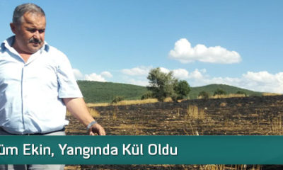 200 Dönüm Ekin, Yangında Kül Oldu