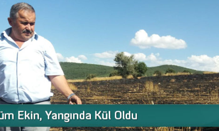 200 Dönüm Ekin, Yangında Kül Oldu