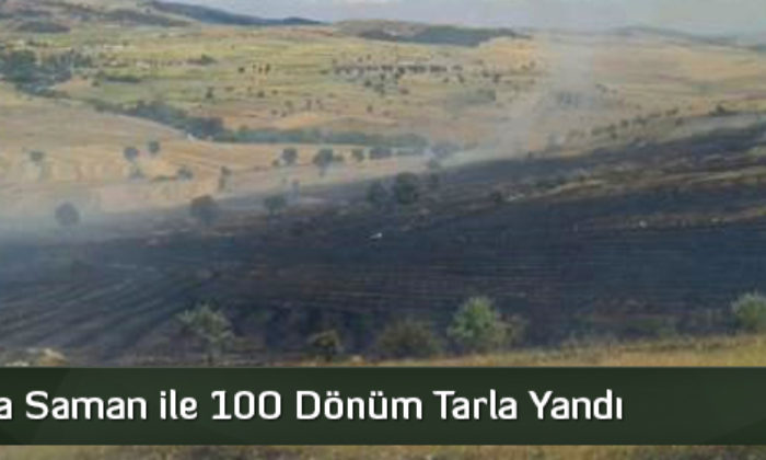 300 Balya Saman ile 100 Dönüm Tarla Yandı