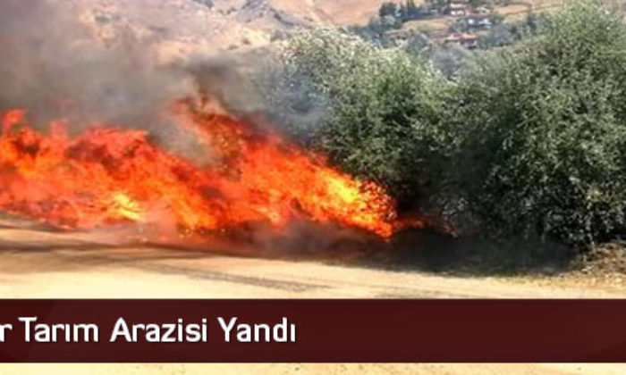 42 Hektar Tarım Arazisi Yandı