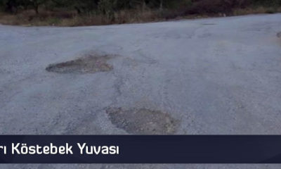 Bağ Yolları Köstebek Yuvası