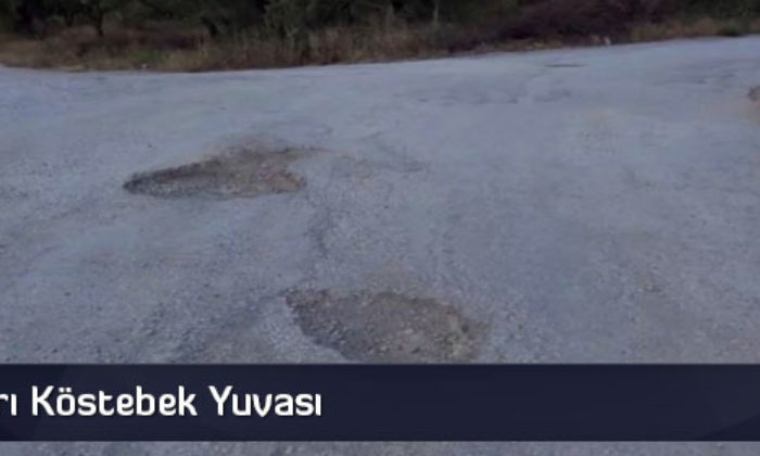 Bağ Yolları Köstebek Yuvası